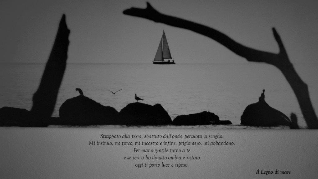 Il Legno Di Mare * La Spezia